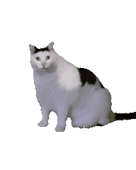 object-3d-2